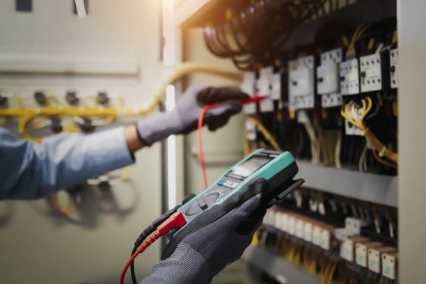 Best Surge Protection Installation  in Mayer, MN